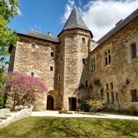 Chateau De Chanze Faye-d'Anjou Экстерьер фото