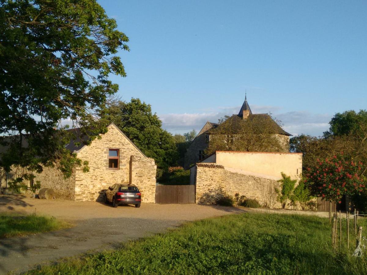 Chateau De Chanze Faye-d'Anjou Экстерьер фото