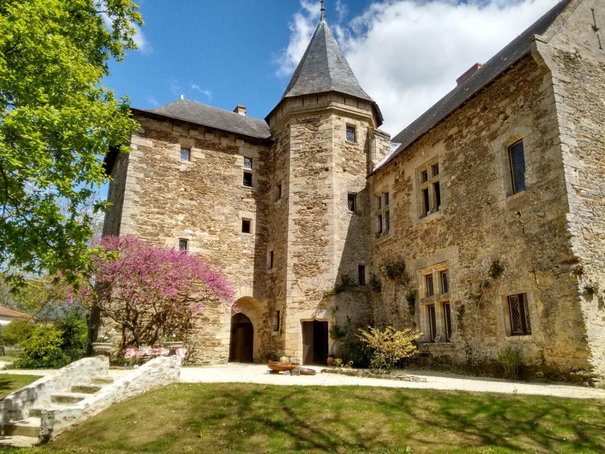 Chateau De Chanze Faye-d'Anjou Экстерьер фото