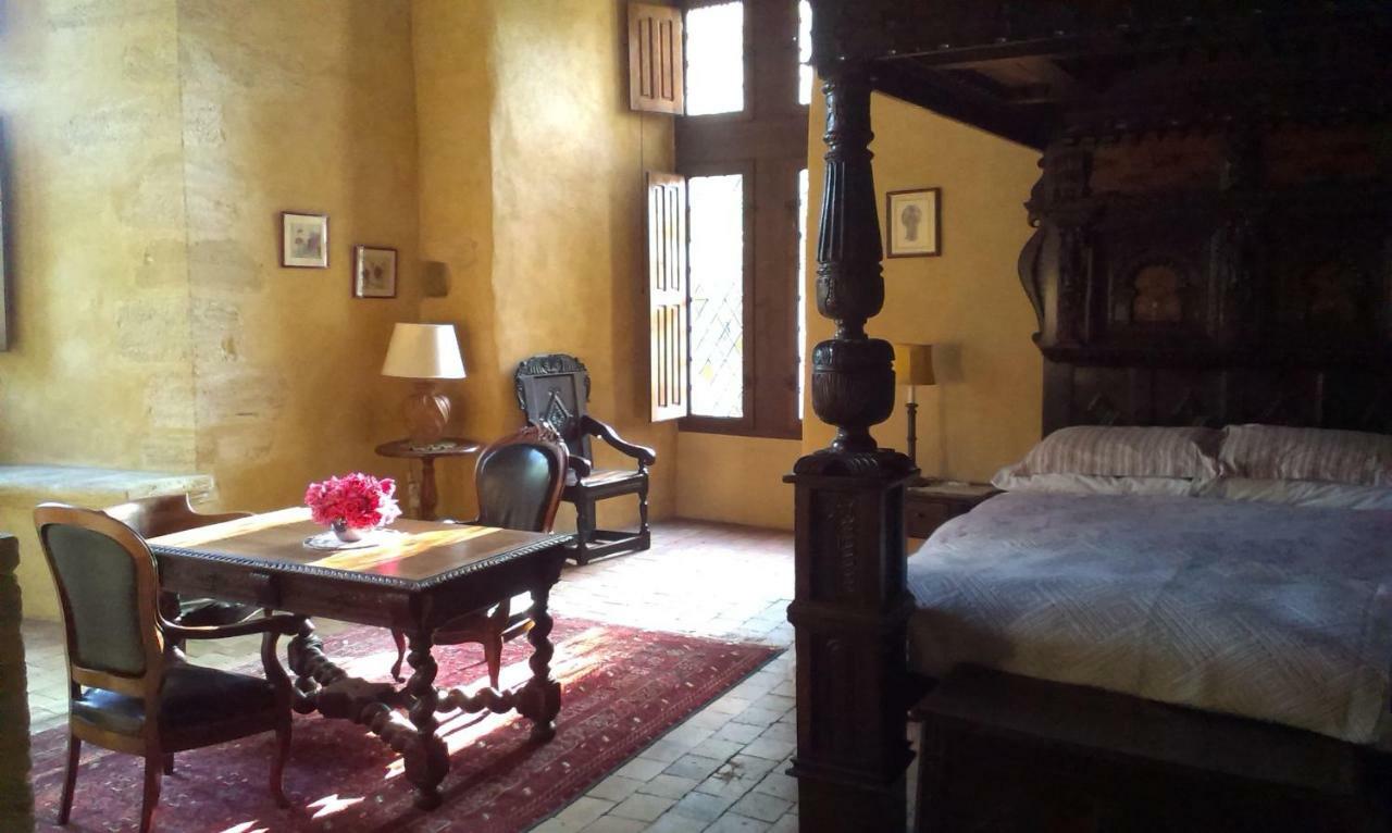 Chateau De Chanze Faye-d'Anjou Экстерьер фото