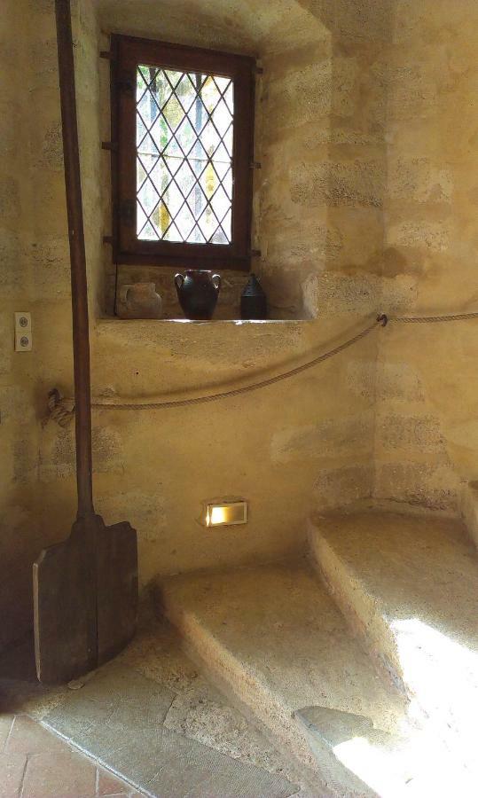 Chateau De Chanze Faye-d'Anjou Экстерьер фото